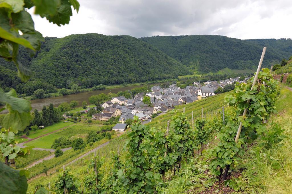Wein- Und Gaestehaus M. Bai Mesenich Exteriör bild